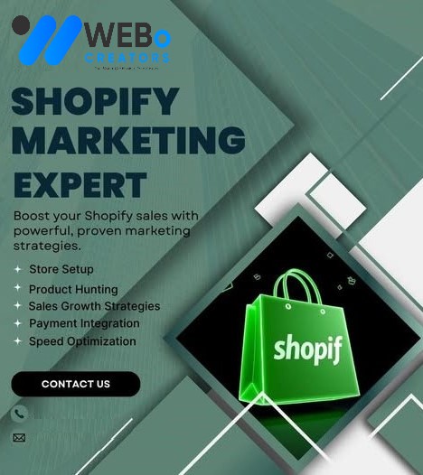 Shopify dropshipping marketing services Miami 2026 ecommerce store visibility strategy