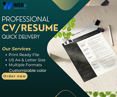 Elegant Resume Design Service, CV designs, CV writing in Miami For Gain Job